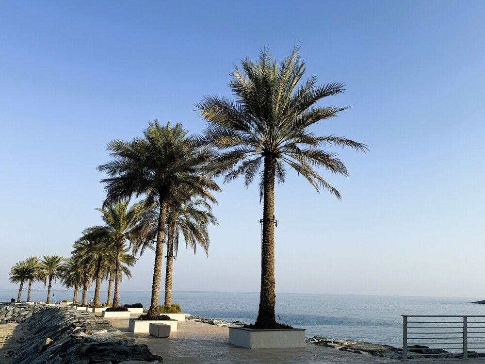 Photograph by Светлана Парамонова