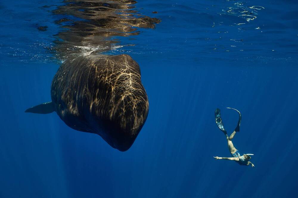 Photograph by PEREPECHAEV PAVEL