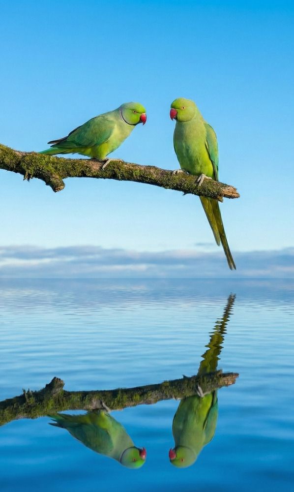 ​A Quiet Dialogue