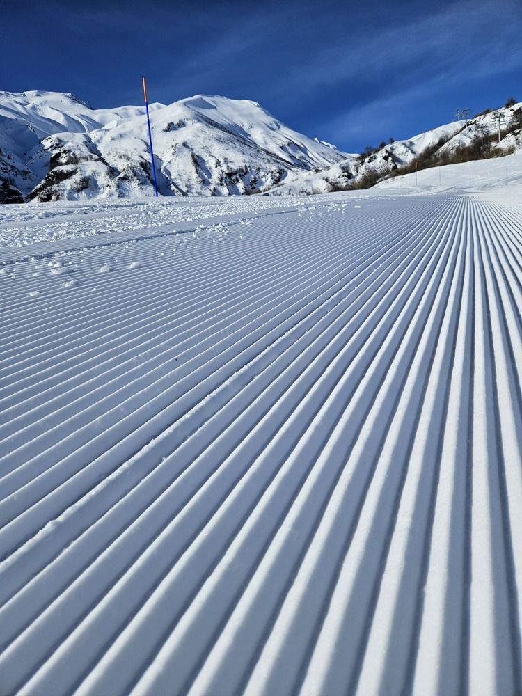 Фотография автора Elena Polonetskaya