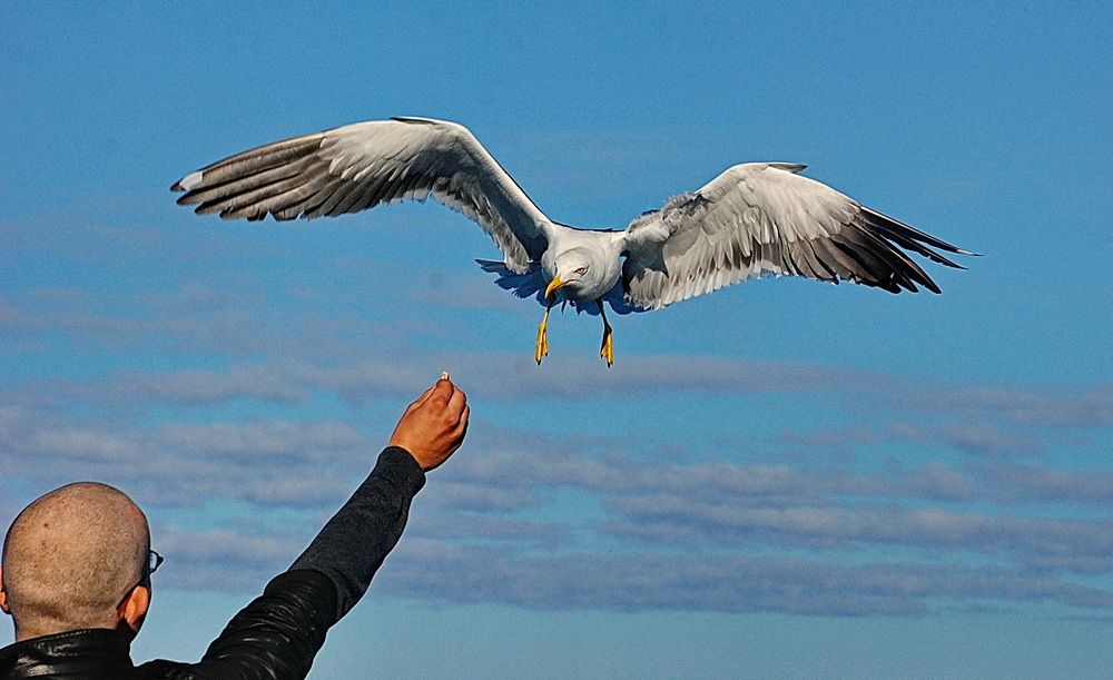 Photograph by Валерий Толмачев