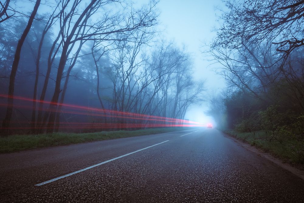 Photograph by Kostov Borislav