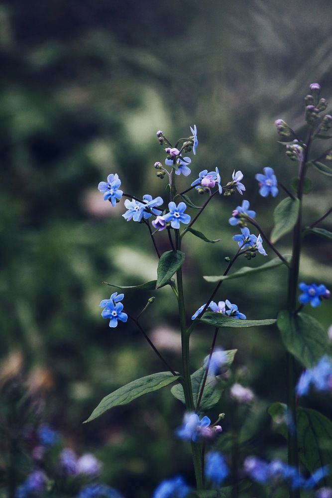 Фотография автора Яна Андреева