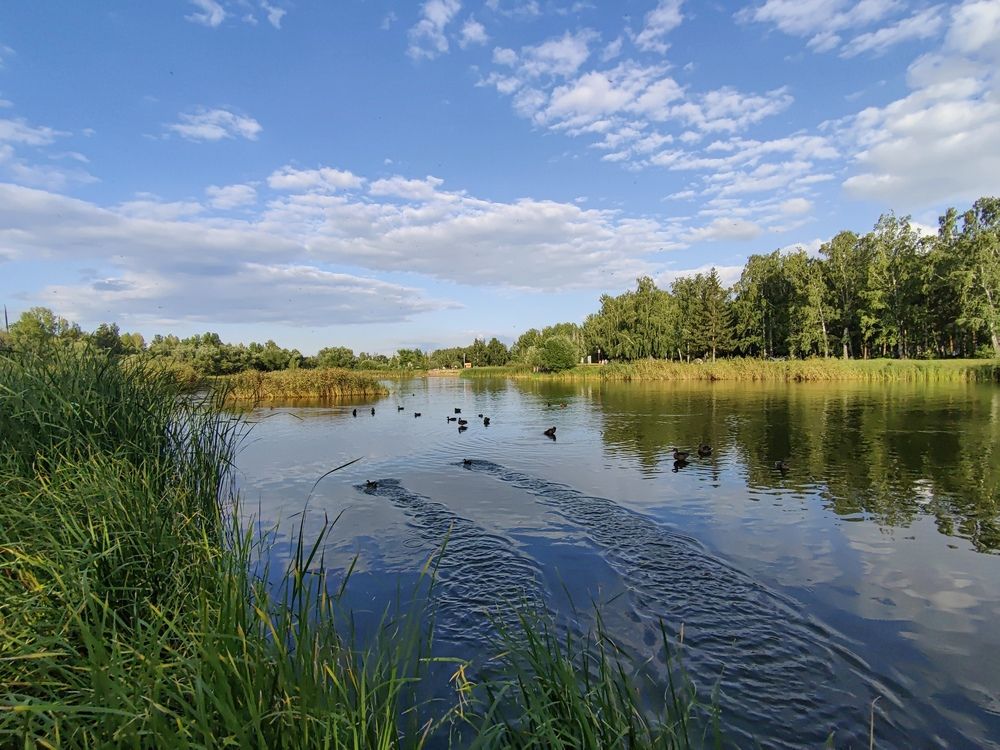 Фотография автора Алёна С-К