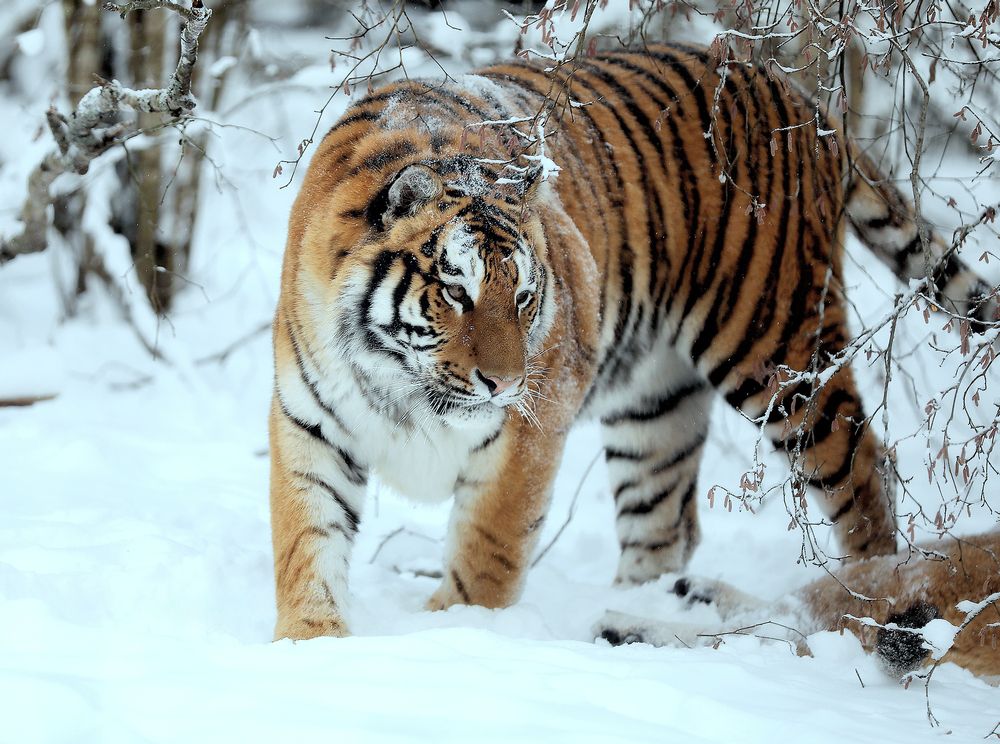 Photograph by Андрей Автухов