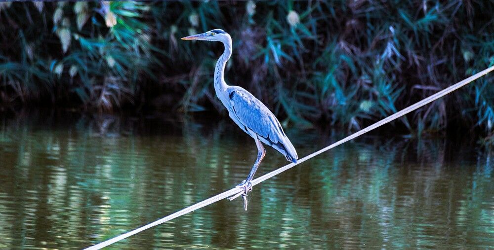 Photograph by Людмила Бутова