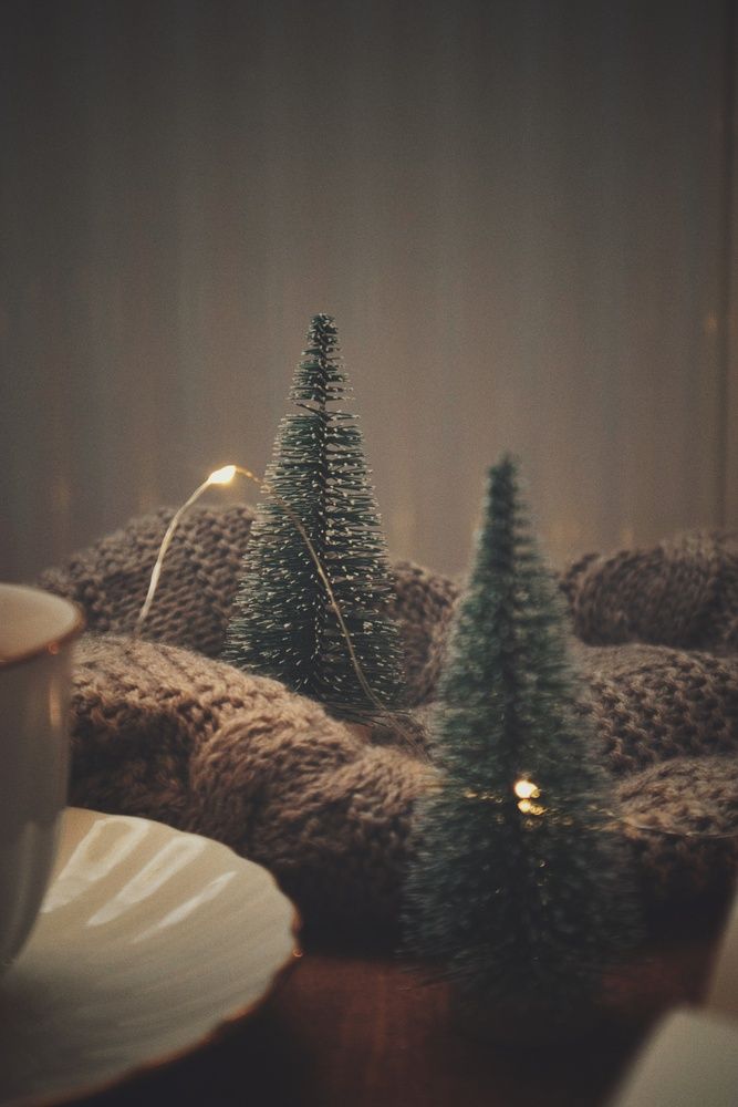 Photo #13164713