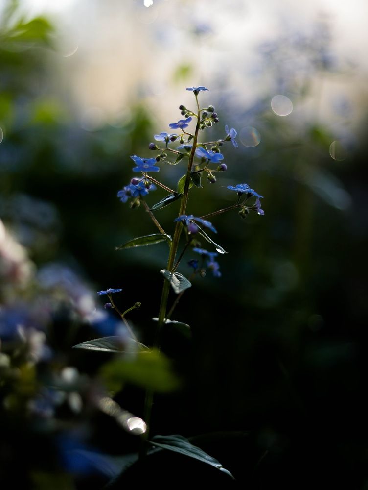 Фотография автора Яна Андреева