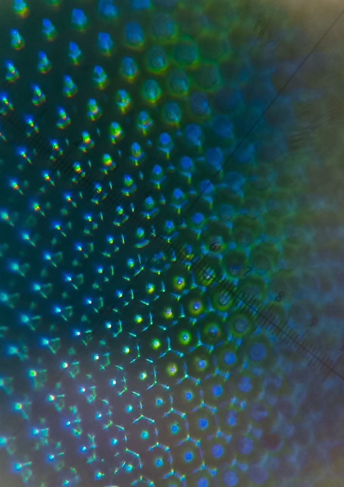 Photograph by Омут Жаб