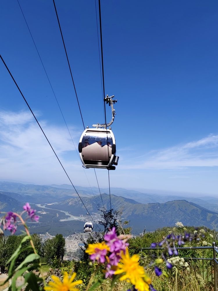 Фотография автора Алёна С-К