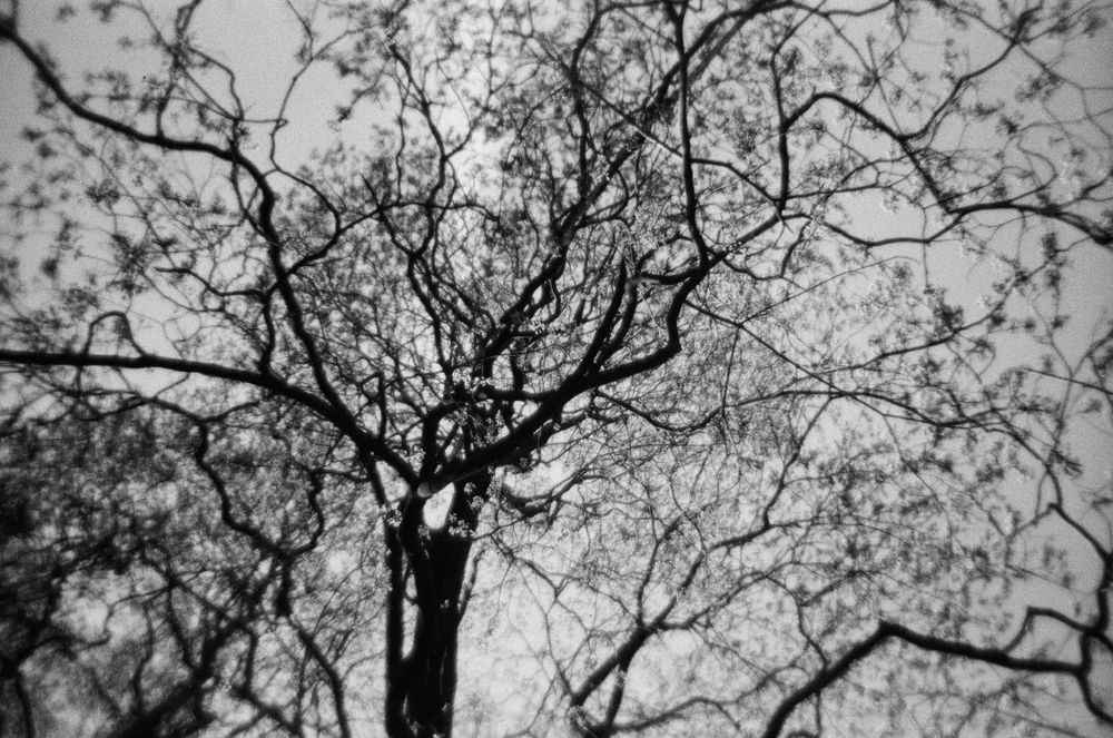 Photograph by Дарья Домбровская