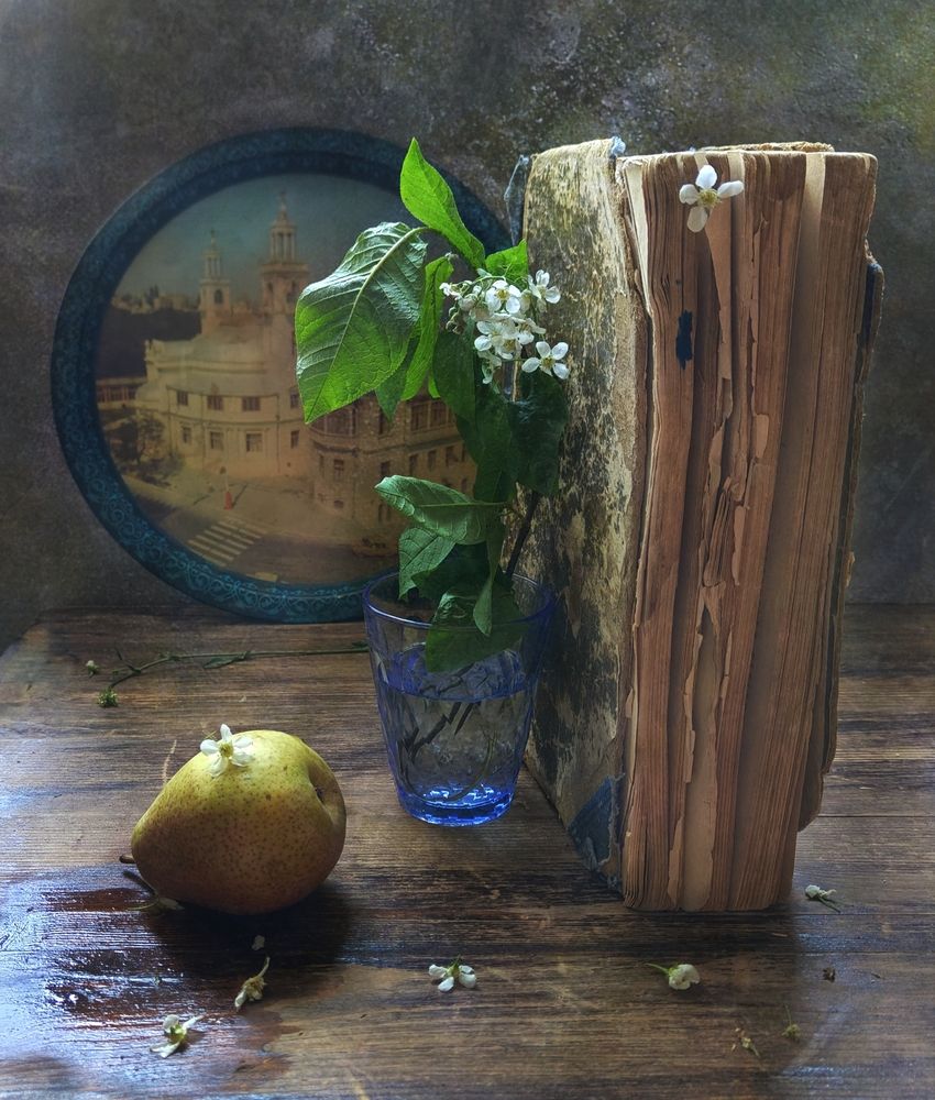 Фотография автора Ирина Курмалеева