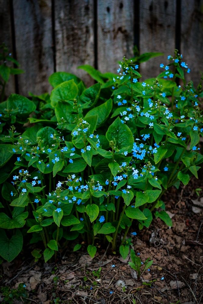 Photograph by Любовь Иванова