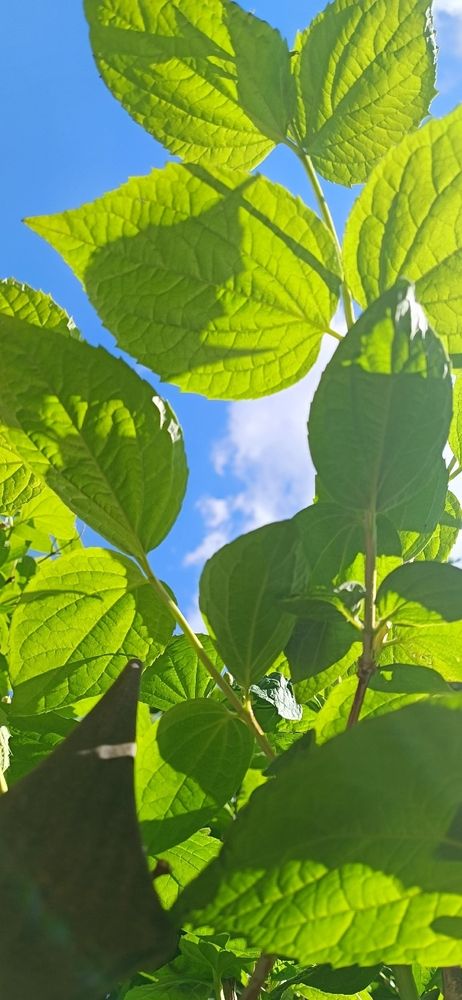 Photograph by Елена Калинина