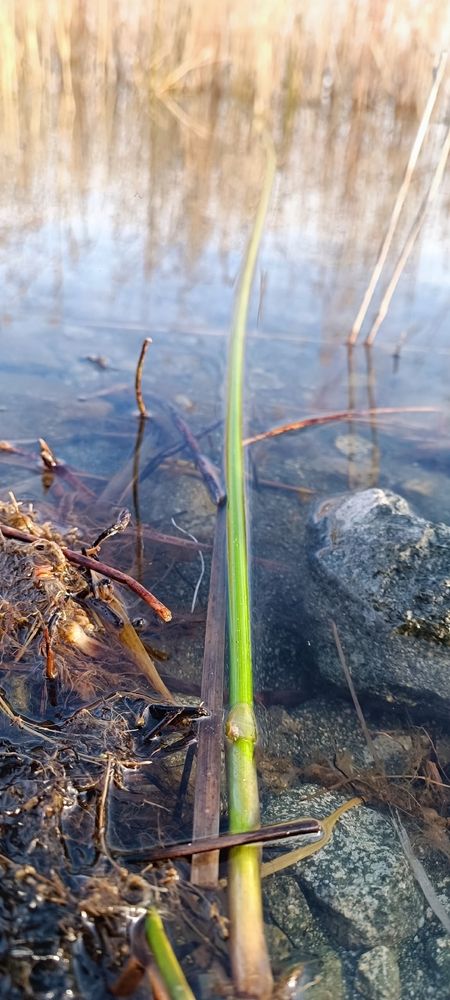 Photograph by Елена Калинина