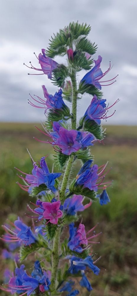 Photograph by Елена Калинина