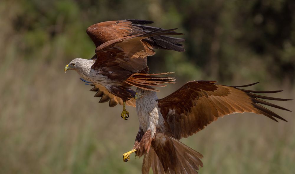 Photograph by Madhurya Mozumder