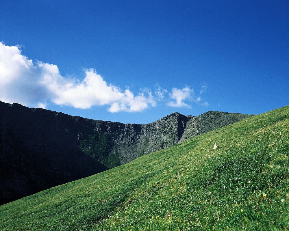 Photograph by Дмитрий Ткаченко