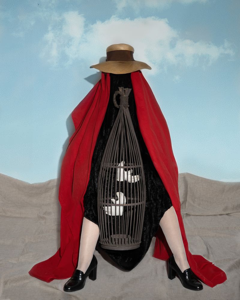 Photograph by Диана Трильо