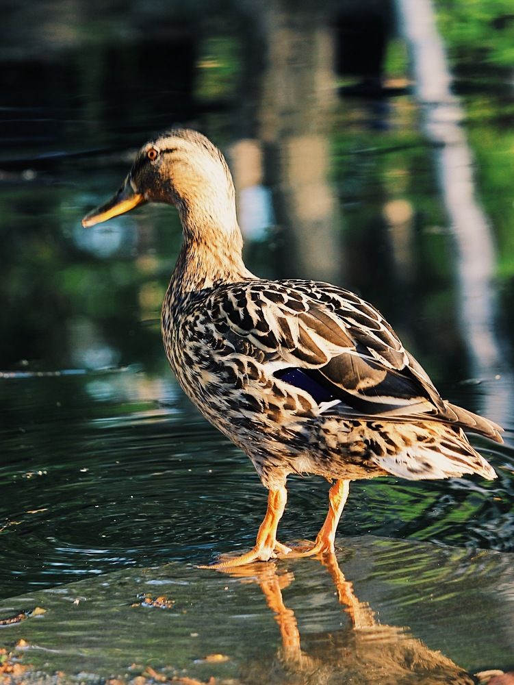 Photograph by Яна Андреева