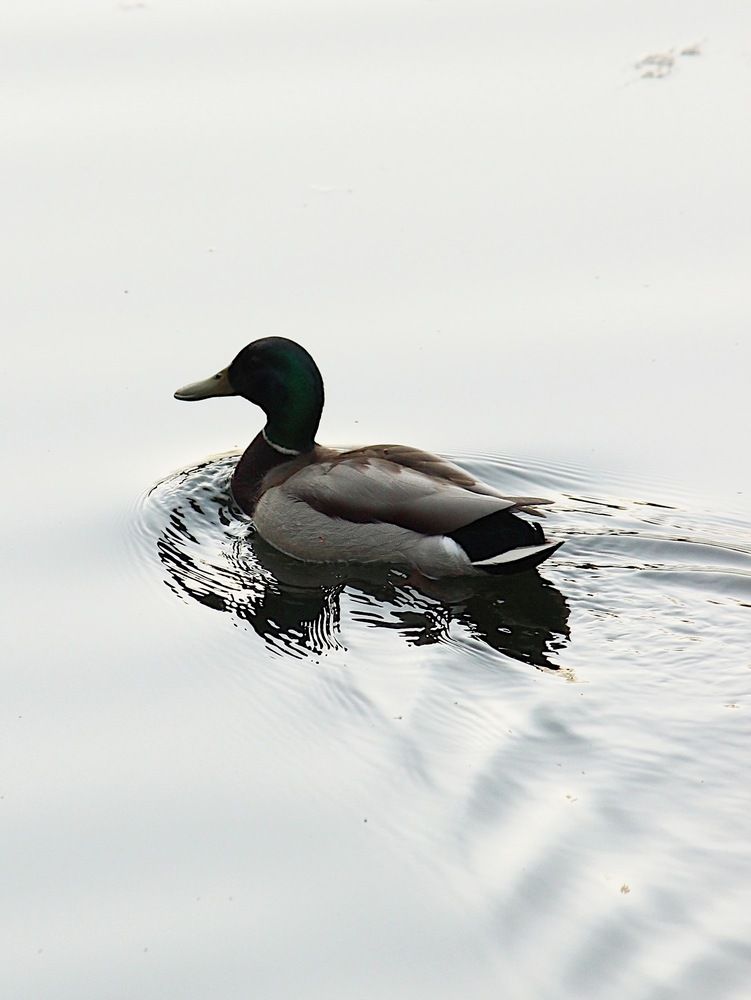 Photograph by Яна Андреева