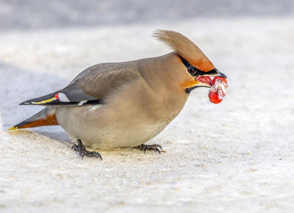 Photograph by АЛЕКСАНДР ПОПИК