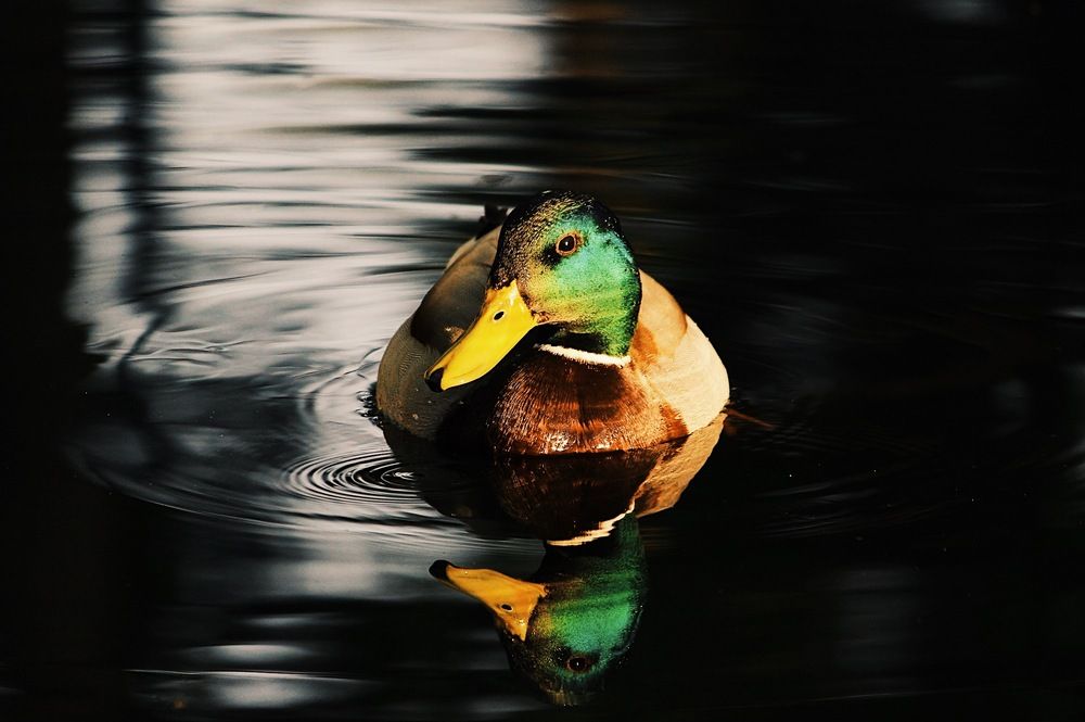 Photograph by Яна Андреева