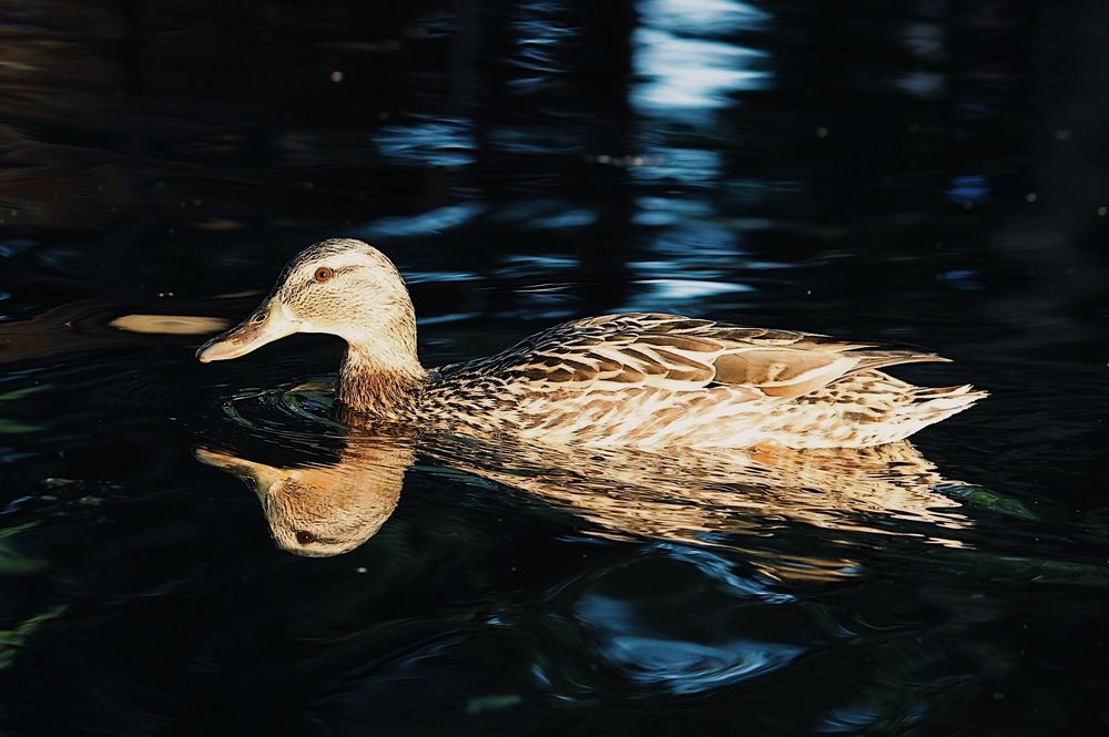 Photograph by Яна Андреева