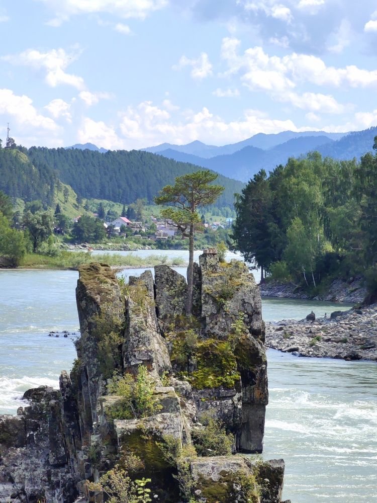 Фотография автора Алёна С-К