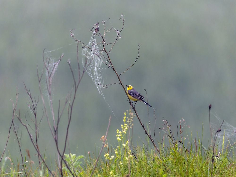 Photograph by АЛЕКСАНДР ПОПИК