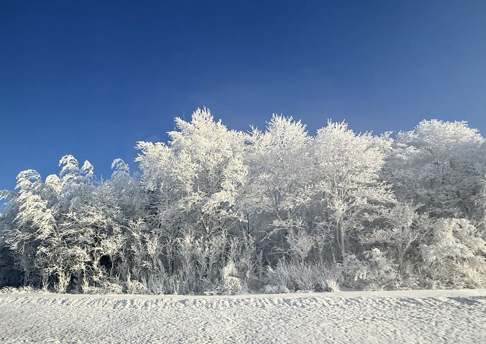 Photograph by Вера Сдвижкова