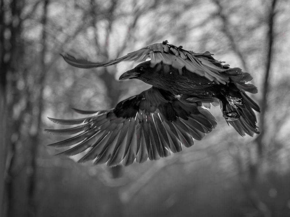 Фотография автора Gergely Janovszky