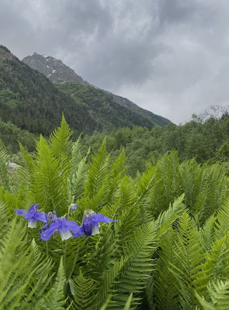 Photograph by Алиса Лукина