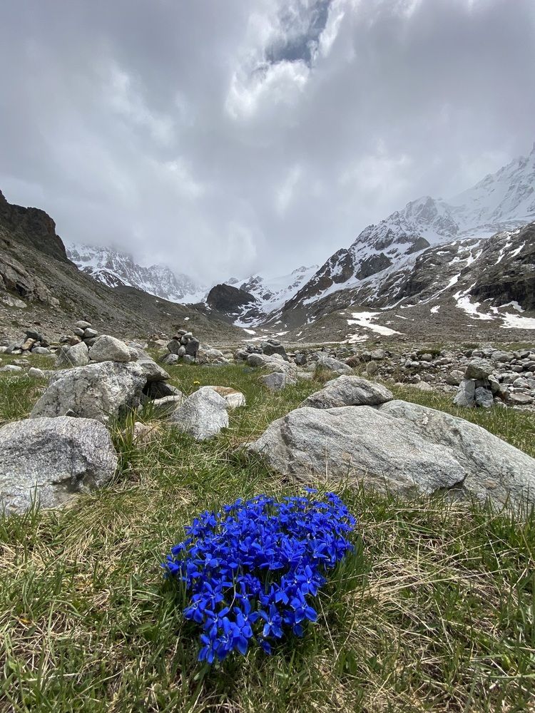 Photograph by Алиса Лукина