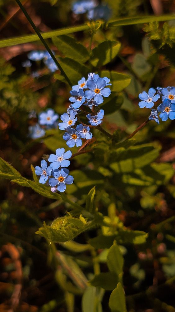 Photograph by Ольга Фомина