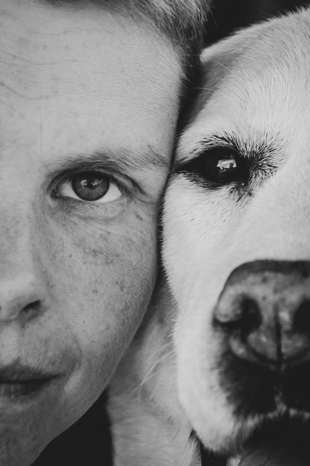 Photo #13164931