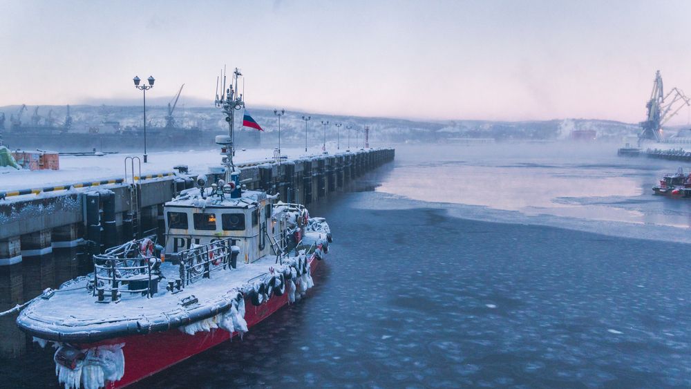 Winter harbor