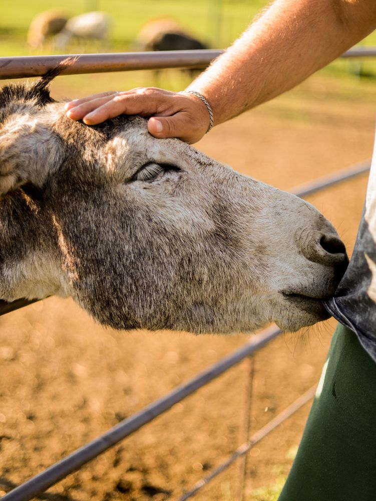 Photograph by Яна Андреева