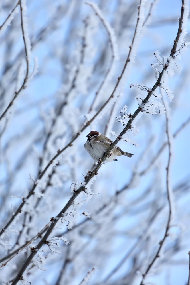 Photograph by Obodovski Bogdan