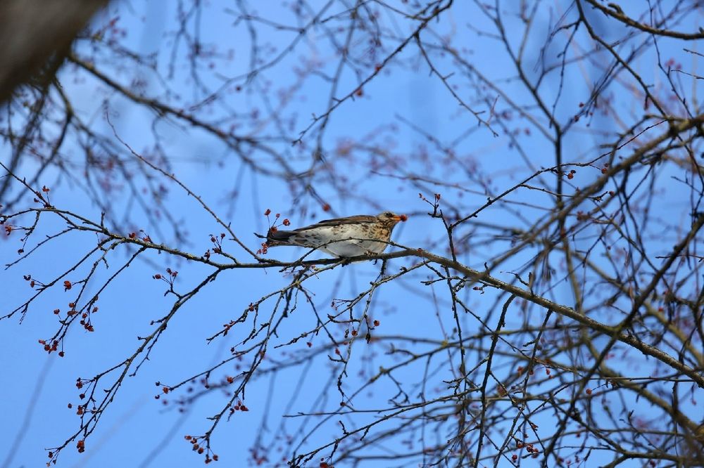Photograph by Obodovski Bogdan