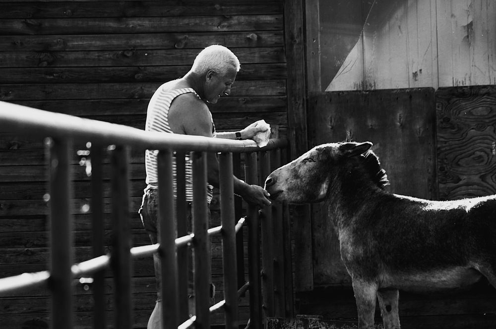 Photograph by Яна Андреева