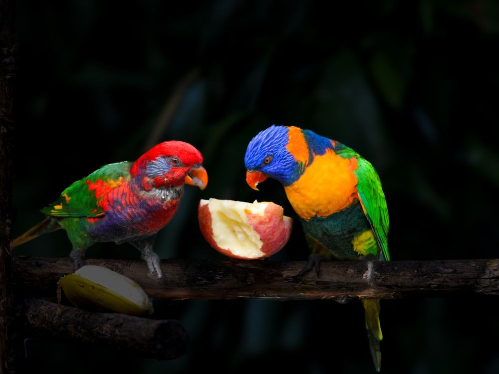 Фотография автора WONG ADVENTURE