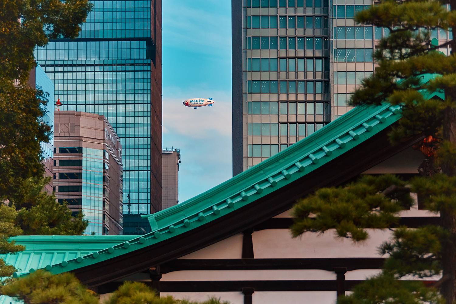 Фотография #13164993