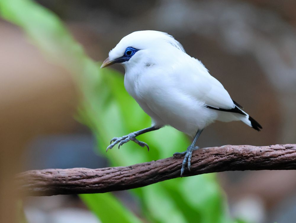 Фотография автора WONG ADVENTURE