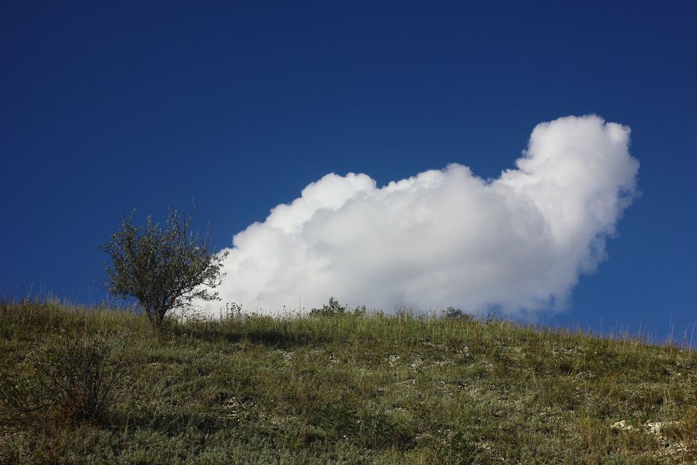 Photograph by Дмитрий Васючков