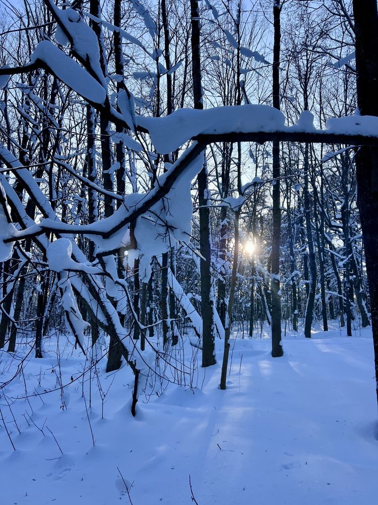 Photograph by Ирина Швейнова