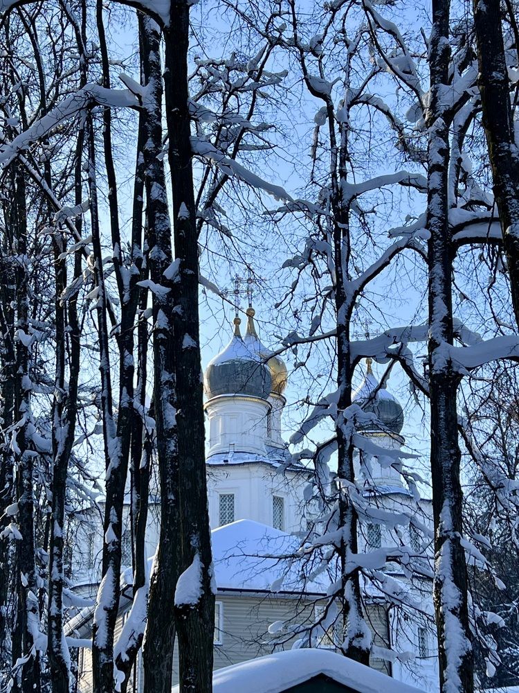 Photograph by Ирина Швейнова