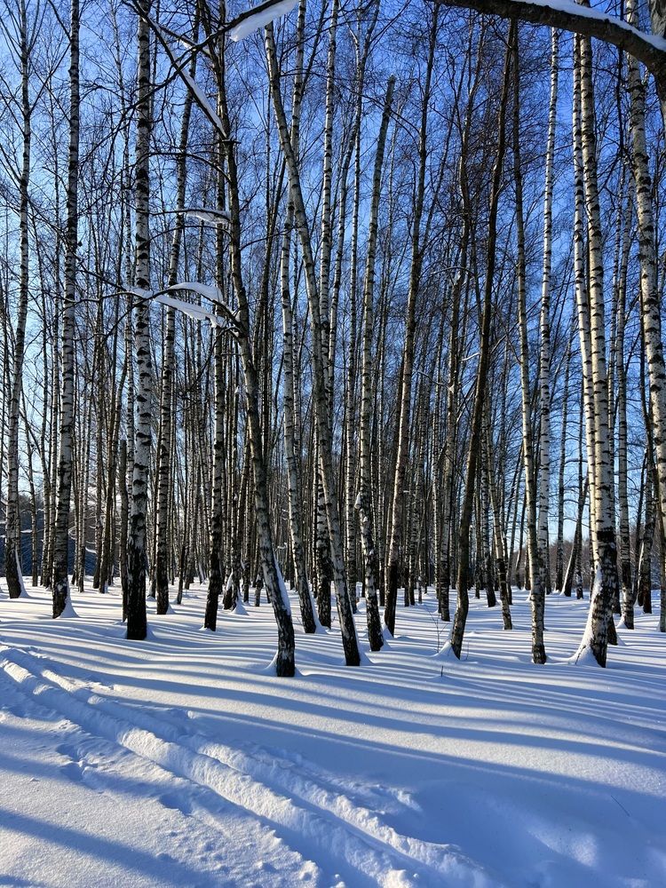 Photograph by Ирина Швейнова