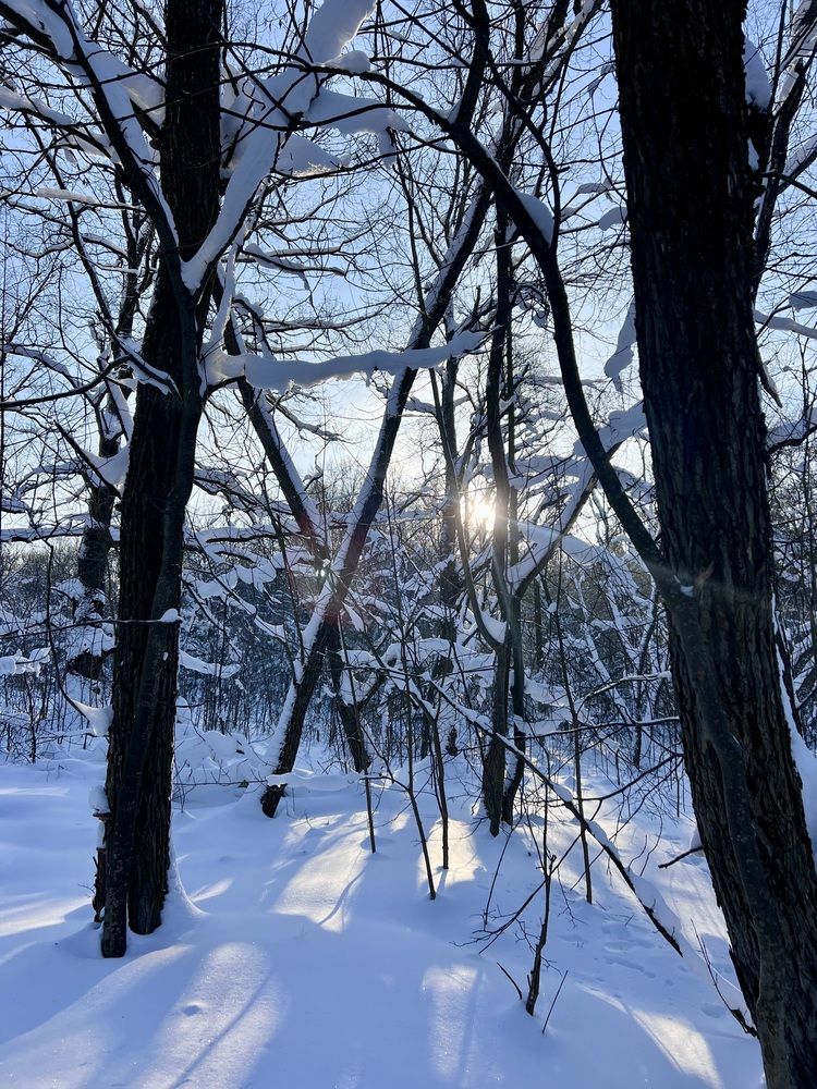 Photograph by Ирина Швейнова