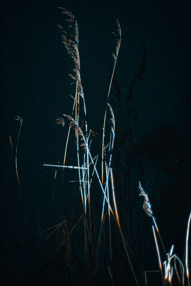 Photograph by Алексей Морозов